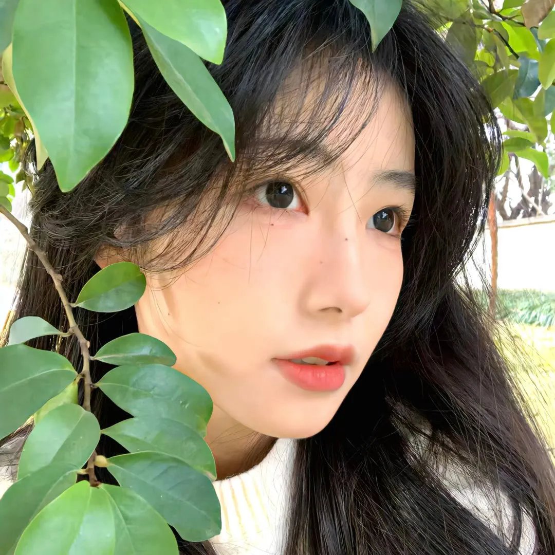 人生双行线